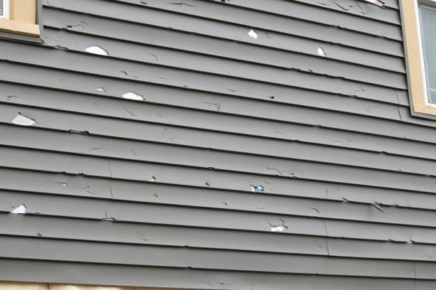 Best Engineered Wood Siding  in Goldthwaite, TX